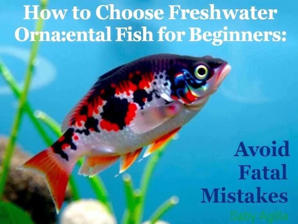 How to Choose Freshwater Ornamental Fish for Beginners: Avoid Fatal Mistakes(1) How to Choose Freshwater Ornamental Fish for Beginners: Avoid Fatal Mistakes(1)